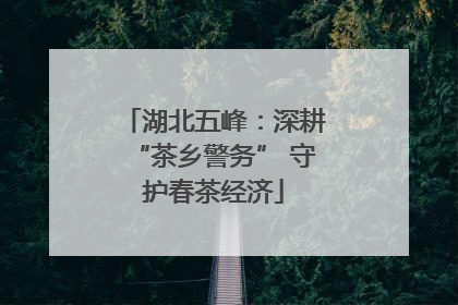 湖北五峰：深耕“茶乡警务” 守护春茶经济